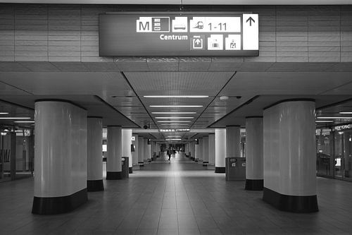 Alleen op het station