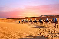 Kameel caravan trekt door de Sahara woestijn in Marokko bij zonsondergang von Eye on You Miniaturansicht