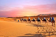 Kameel caravan trekt door de Sahara woestijn in Marokko bij zonsondergang van Eye on You thumbnail