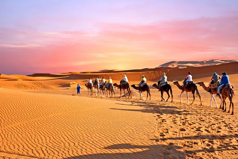 Kameel caravan trekt door de Sahara woestijn in Marokko bij zonsondergang von Eye on You