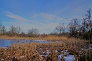 Wintergezicht van Ad Steenbergen