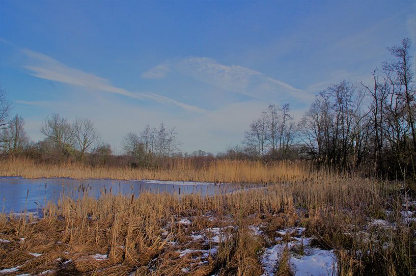Wintergezicht by Ad Steenbergen