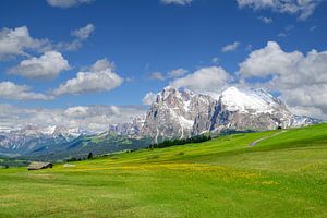Seiseralm-Panorama in den Dolomiten im Frühling