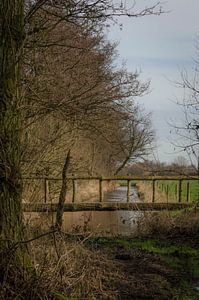 Atmosphärischer Blick auf eine Brücke