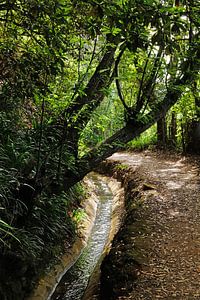 Levada op Madeira