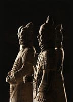 Mooie verlichte Strijders van het Terracotta leger in Xi'an