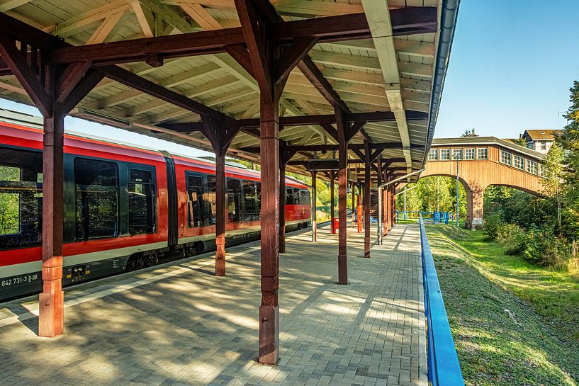 Erzgebirgsbahn Thermisch bad Wiesenbad van Johnny Flash