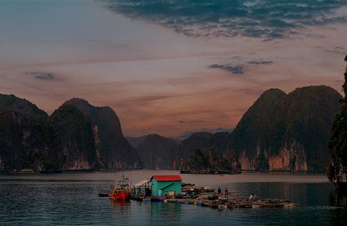 Traditionele visserij in Bai Tu Long