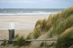 Am Strand von Vlieland