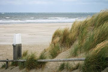 Sur la plage de Vlieland sur Marga Vroom