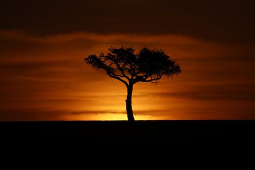 African sunset