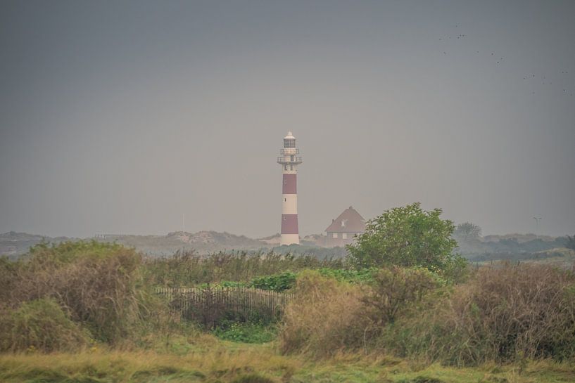 Lighthouse Nieuwpoort by Paquita Six