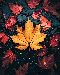 Herbststimmung
