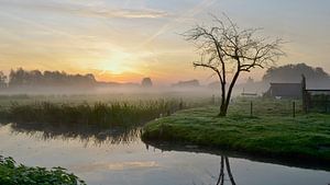  Kortenhoef net voor zonsopkomst