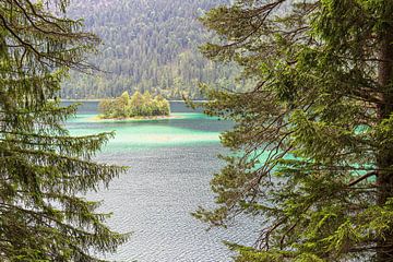 Eiland in de Eibsee bij Garmisch-Partenkirchen in Beieren van Rico Ködder