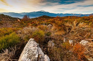 Ongerepte natuur op Col de Roc Jalère, Oostelijke Pyreneeën van Hilke Maunder