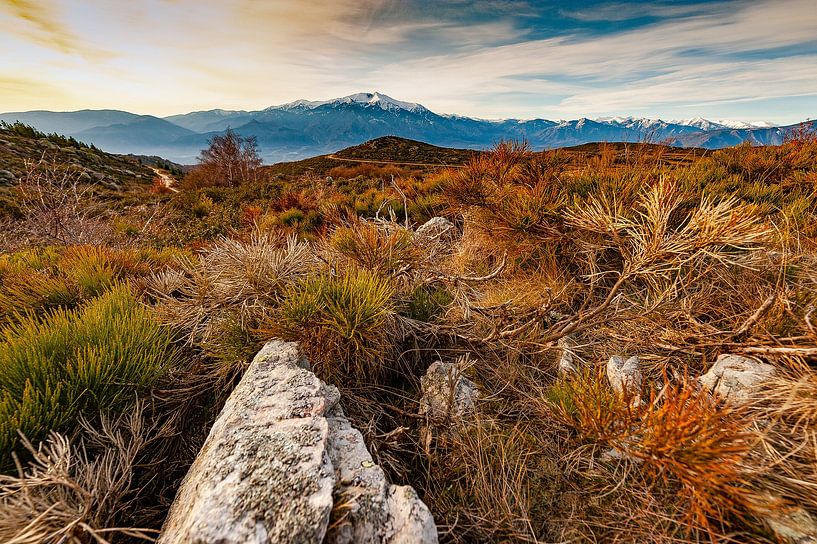 Ongerepte natuur op Col de Roc Jalère, Oostelijke Pyreneeën van Hilke Maunder