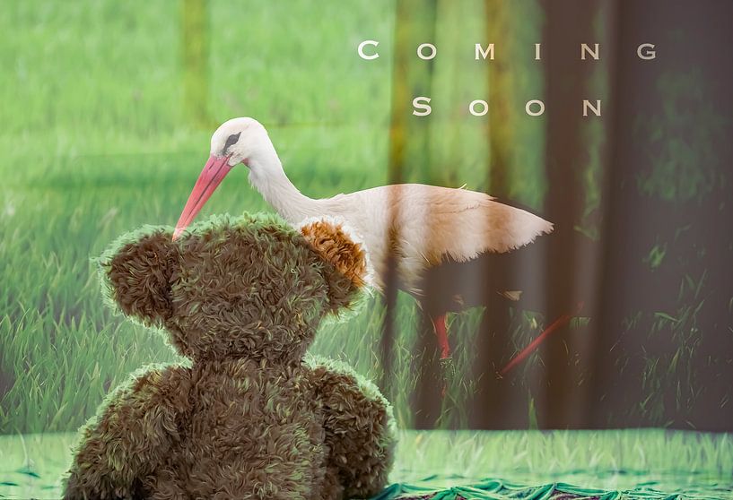 Expecting &quot;Coming Soon&quot; by Truckpowerr