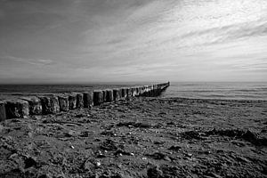 Buhnen am Strand