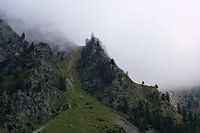 Nuages de brouillard
