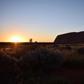 Uluru Sunrise von Britt Lamers