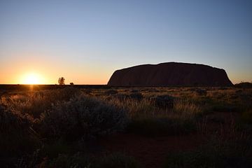 Uluru Zonsopkomst van Britt Lamers