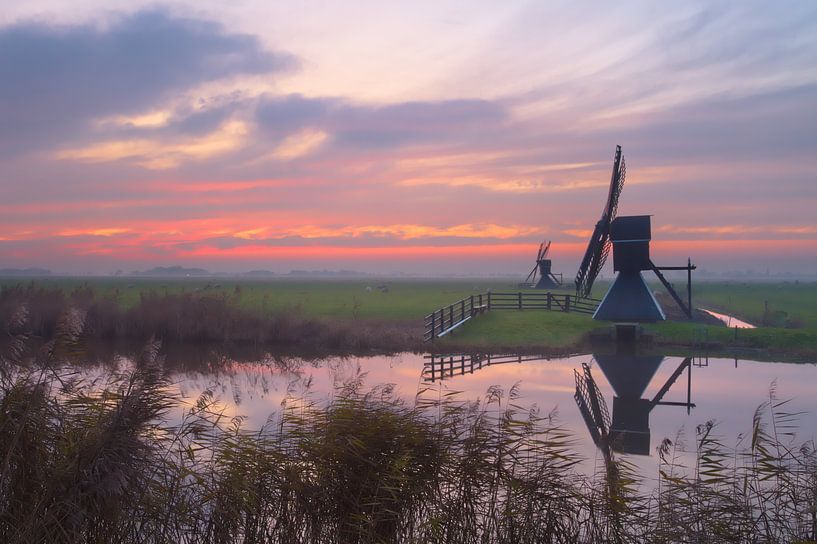 Fräst im Abendlicht von Hans Bargerbos