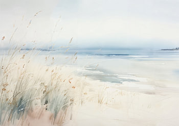 Grasses by the Sea | Calm Sea with Grasses