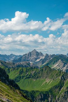 Uitzicht op de Hochvogel en de Allgäuer Hoge Alpen van Leo Schindzielorz