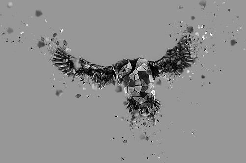 La mosaique du macareux en nb