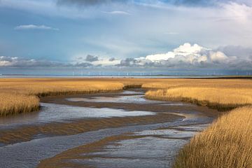 the Kiekkaaste, new statenzijl by M. B. fotografie