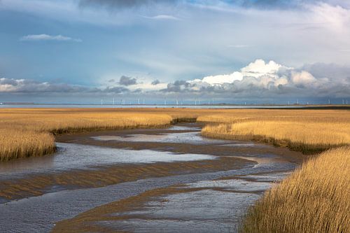 de Kiekkaaste, nieuwe statenzijl