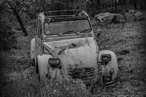 mes deux chevaux au cimetière RIP