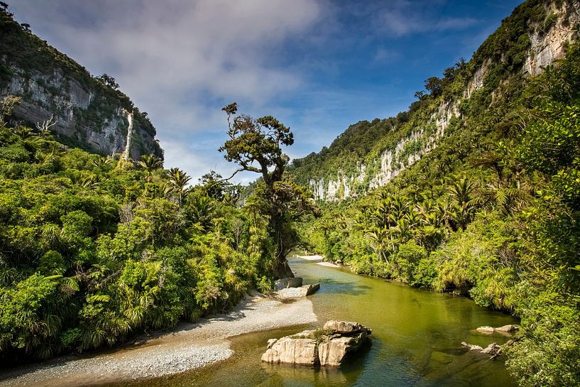 Pororari rivier van Antwan Janssen