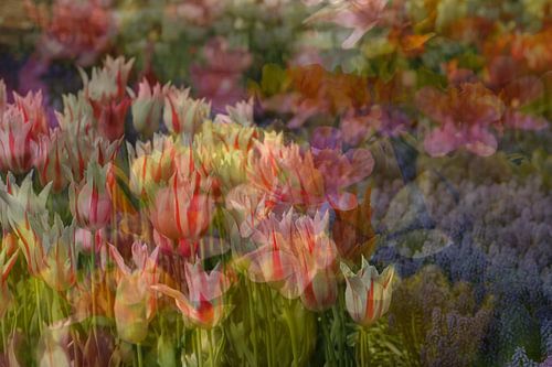 Impressionnisme de printemps