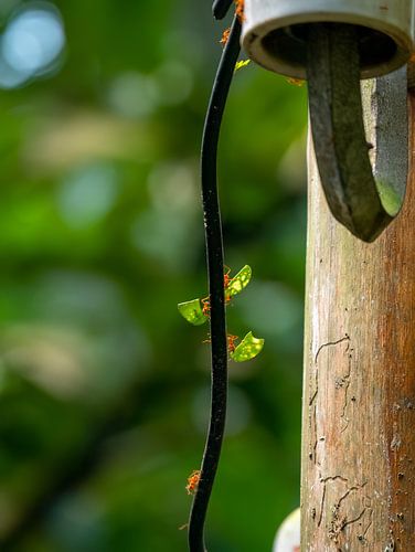 es geht um das Gleichgewicht