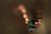 Waterdruppel op crocusmia blad bloem kunst macro fotografie