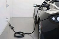 Tesla Roadster Sport van Art Indi thumbnail