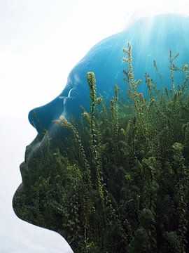 underwater mind