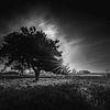 Dwingelderveld by Peter Grannetia
