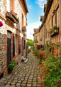 Steegje in Honfleur van Martine Moens