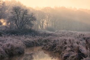 Nationalpark Drentsche Aa an einem schönen nebligen Wintermorgen mit Landreife bei Sonnenaufgang