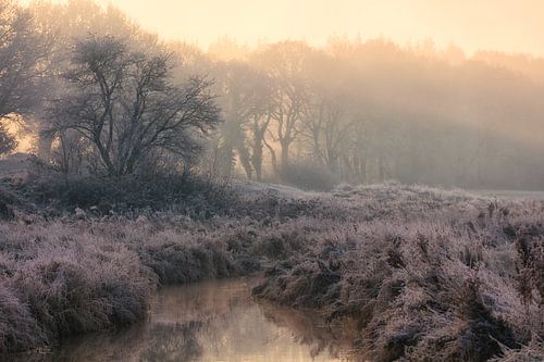 Nationaal Park Drentsche Aa op een mooie mistige winterochtend met rijp op het land tijdens zonsopko