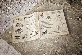 Pripyat by Alfons Postma