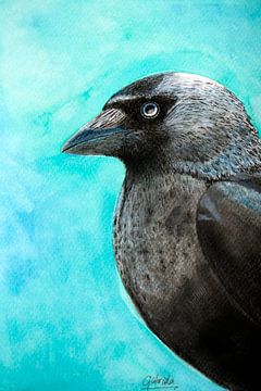 Kauw vogel met blauwe achtergrond van Gabriela Brakenhoff