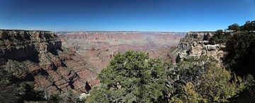 Grand Canyon USA van Hans van Oort