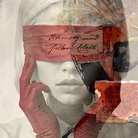 Blindes Vertrauen von Wil Vervenne