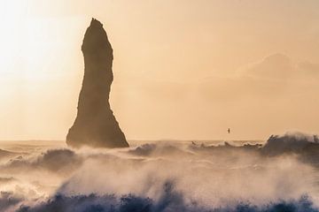 Black beach | Iceland | ocean | birds | rock by Femke Ketelaar