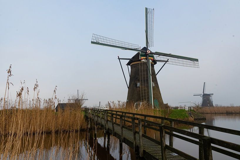 Windmühle Kinderdijk von Merijn Loch