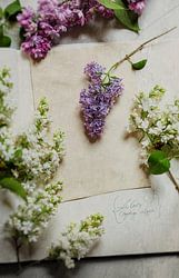 A springtime atmosphere with lilac